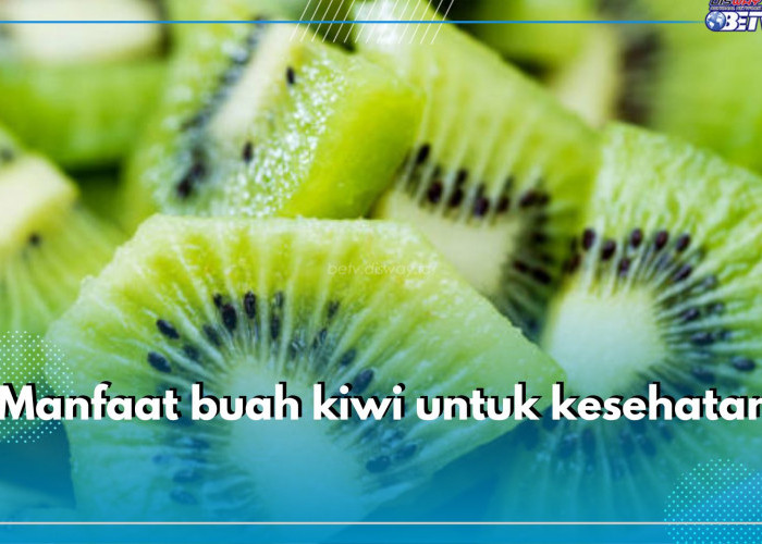 Buah Kiwi Ampuh Mengatasi Pembekuan Darah, Cek 10 Manfaat Lainnya di Sini!