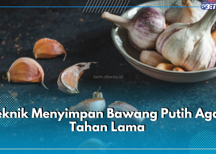 Teknik Menyimpan Bawang Putih Agar Tahan Lama, Awet Sampai 6 Bulan Lamanya, Cek Caranya!