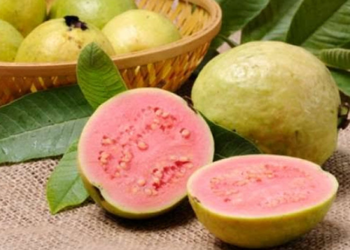 Jambu Biji hingga Mangga Kaya Akan Kandungan Vitamin C, Cek Daftar Lengkapnya Disini!