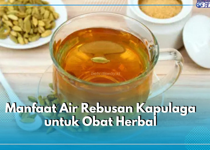 5 Manfaat Air Rebusan Kapulaga untuk Obat Herbal, Ampuh Atasi Demam hingga Panas Dalam