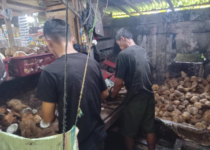 Harga Kelapa Parut di Pasar Minggu Bengkulu Naik Tajam