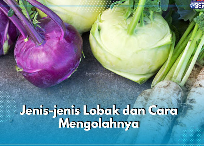 6 Jenis Lobak dan Cara Mengolahnya, Ada yang Dijadikan Acar hingga Smoothie