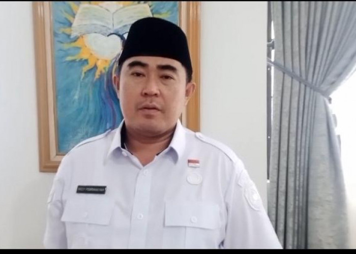 Pelaku Penebangan Pohon Pantai Panjang Mangkir, Pemkot Bengkulu Layangkan Panggilan Kedua