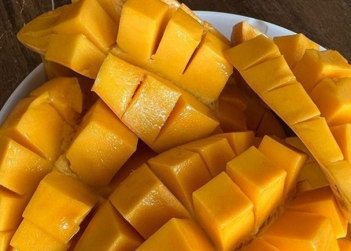 Kaya Vitamin dan Serat, Cek 7 Manfaat Buah Mangga untuk Kesehatan Ibu Hamil