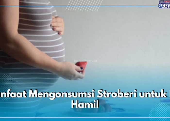 Punya Segudang Nutrisi Baik Bagi Kesehatan, Ini 8 Manfaat Mengonsumsi Stroberi untuk Ibu Hamil