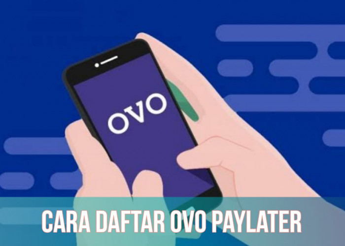 Syarat Mudah, Begini Cara Daftar OVO PayLater, Bisa Pinjam Uang hingga Rp10.000.000