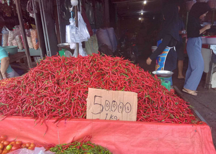 Hari Kelima Puasa, Harga Cabai Merah di Pasar Panorama Anjlok Jadi Rp50 Ribu per Kilogram