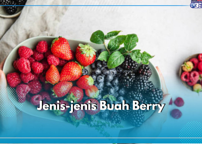 10 Jenis Buah Berry Paling Populer Di Dunia, yang Mana Favoritmu?