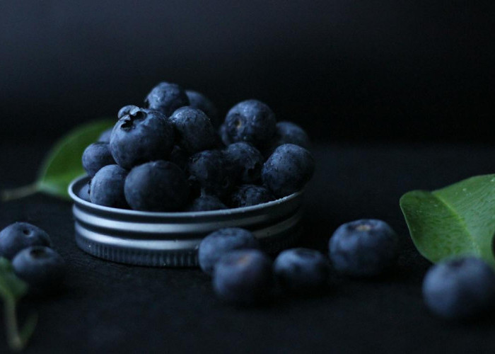 Baca Baik-baik! Ternyata Inilah 8 Manfaat Blueberry untuk Kesehatan, Nomor 1 Bikin Kaget