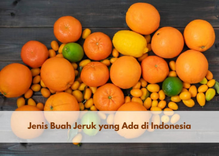 Kamu Perlu Tahu, Ini 8 Jenis Buah Jeruk yang Ada di Indonesia, Pernah Coba yang Mana?