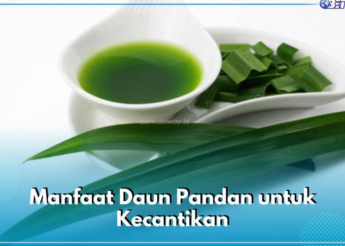 Cerahkan Kulit hingga Hilangkan Bau Badan, Ini Sederet Manfaat Daun Pandan untuk Kecantikan