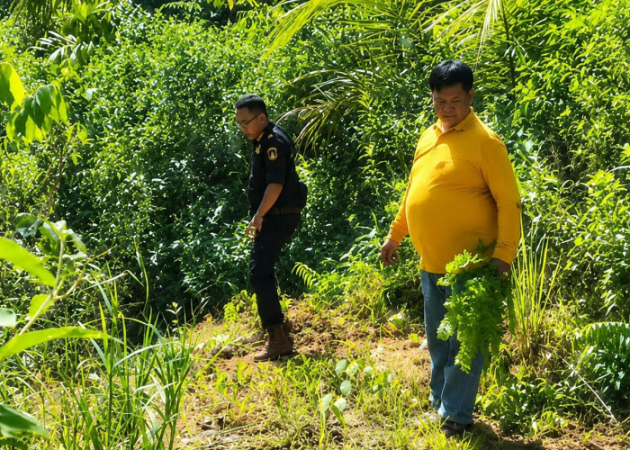 Penyidikan Korupsi SHM Ilegal, Tim Ahli dan Kejari Turun ke Kawasan HPT Bukit Rabang
