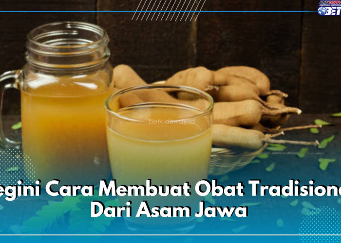 Begini Cara Membuat Obat Tradisional Dari Asam Jawa, Ampuh Atasi Sembelit Hingga Sakit Perut