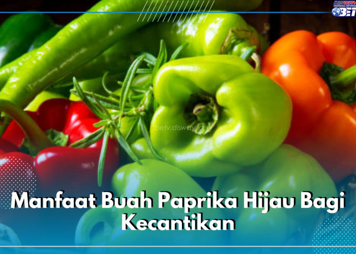 Ini 8 Manfaat Buah Paprika Hijau Bagi Kecantikan, Melindungi dan Menyehatkan Kulit