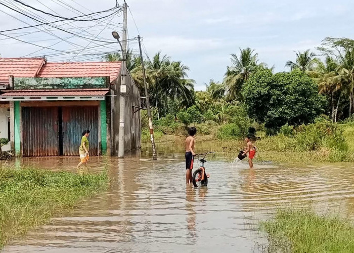 Diguyur Hujan Berjam-jam, 24 Titik di Kota Bengkulu Terendam Banjir