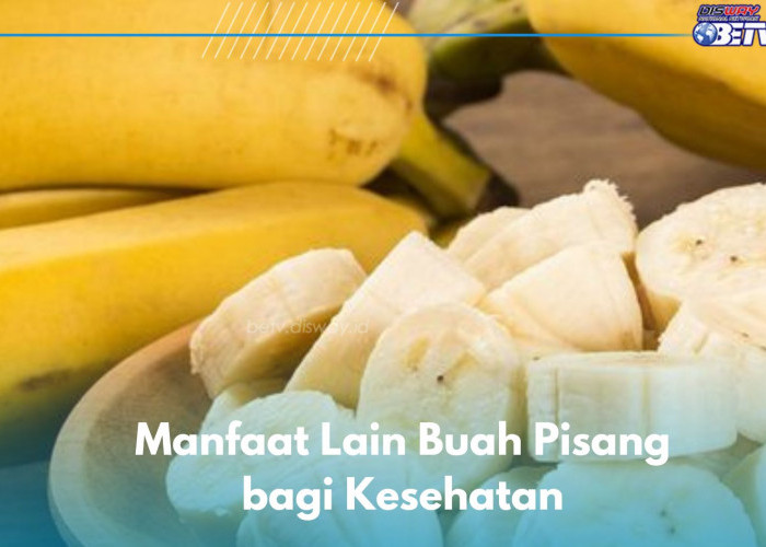 Manfaat Lain Buah Pisang bagi Kesehatan, Baik untuk Pencernaan hingga Meredakan Tukak Lambung