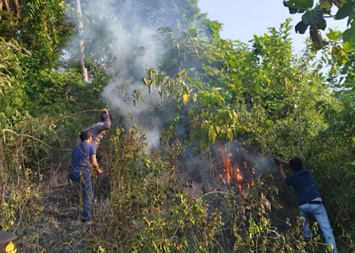 Lahan Kosong di Desa Linau Kaur Terbakar 