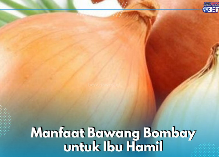 6 Manfaat Bawang Bombay untuk Ibu Hamil, Ampuh Meningkatkan Kekebalan Tubuh