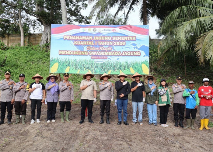 Dukung Swasembada Pangan Nasional, Polresta Bengkulu Targetkan Tanam Jagung di Lahan 25 Hektare