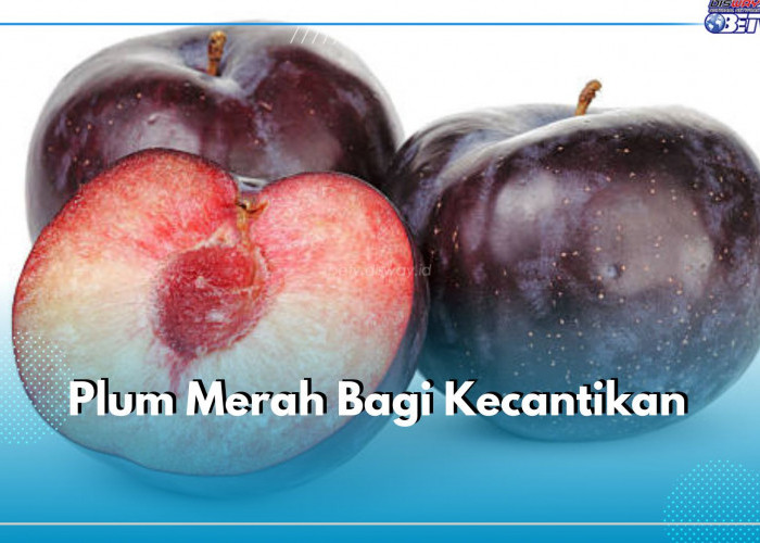 Plum Merah Dapat Mencerahkan Kulit, Ini 7 Manfaatnya bagi Kecantikan, Yuk Konsumsi Rutin!