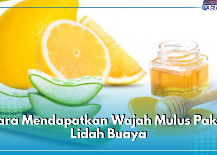 Cara Mendapatkan Wajah Mulus dengan Bahan Alami, Gunakan Lidah Buaya, Begini Aturan Pakai dan Manfaatnya