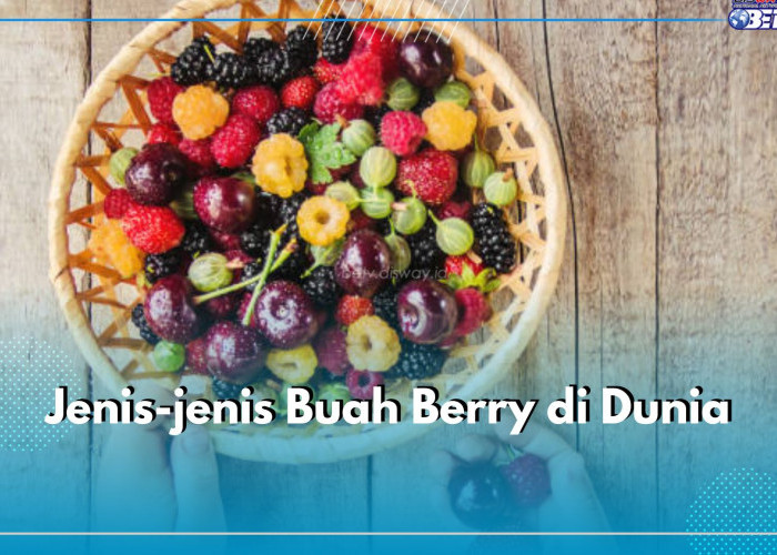 Stawberry hingga Huckleberry, Ini 10 Jenis Buah Berry Paling Populer di Dunia, Mana Favoritmu?