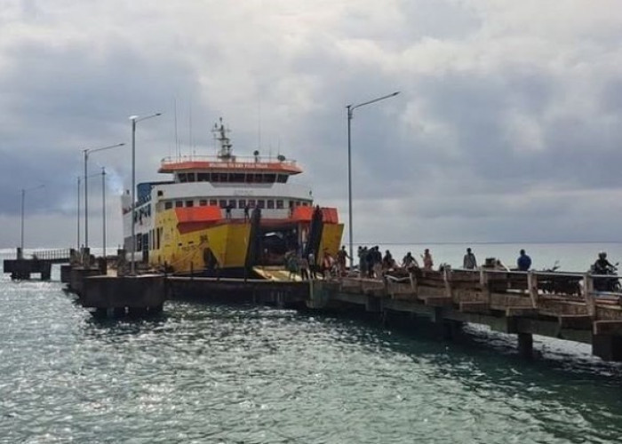 Dari Ladang ke Laut: Ketika Nilai Hilang dalam Rantai Distribusi