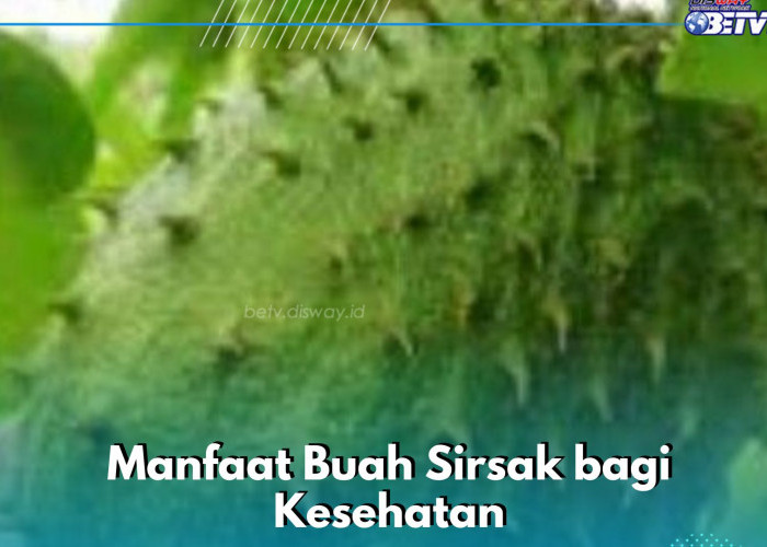 Cukup Konsumsi Buah Sirsak Ini, Punya Manfaat Bagus untuk Ibu Hamil, Cek di Sini