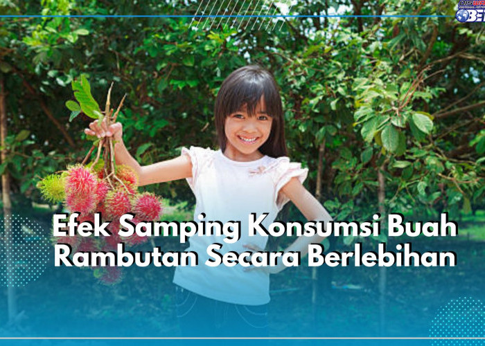Waspadai! Dilarang Konsumsi Buah Rambutan Secara Berlebihan Dapat Memicu Timbulnya Efek Samping, Simak Disini!