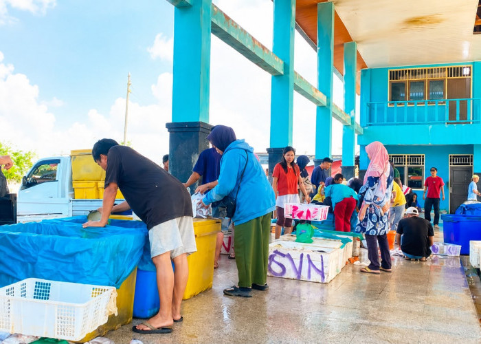 Cuaca Ekstrem Kurangi Hasil Tangkapan, Harga Ikan di TPI Pasar Bawah Bengkulu Selatan Naik