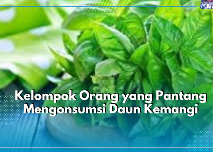 Ada 6 Kelompok Orang yang Pantang Mengonsumsi Daun Kemangi, Siapa Saja? Tak Terkecuali Penderita Alergi
