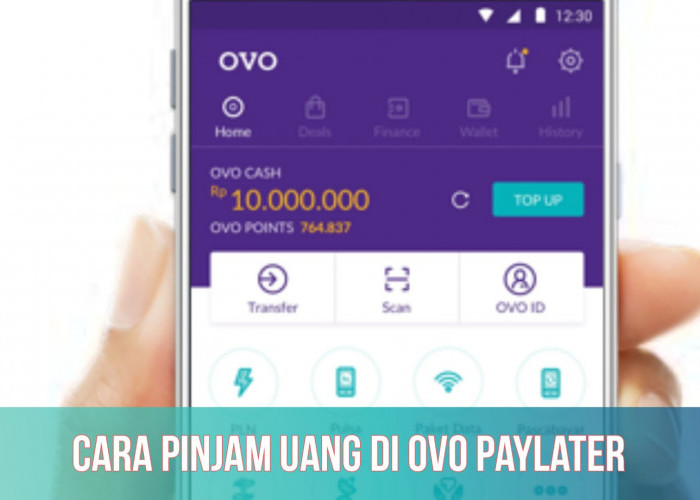 Cek Syarat Pinjam Saldo OVO PayLater, Limit hingga Rp10.000.000, Buruan Coba!