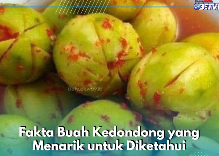 Menarik, Ini Sederet Fakta Tentang Buah Kedondong, Tidak Hanya Baik untuk Kesehatan