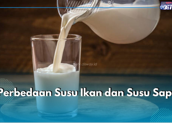 Menyingkap Perbedaan Susu Ikan dan Susu Sapi, Mana yang Lebih Baik?