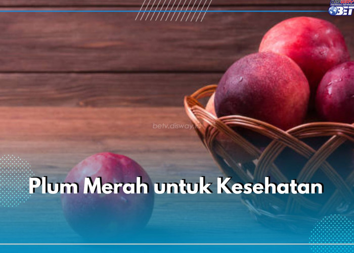 Dahsyat Banget, Buah Plum Mampu Mengatasi Kerusakan Ginjal hingga Insomia, Cek Manfaatnya di Sini