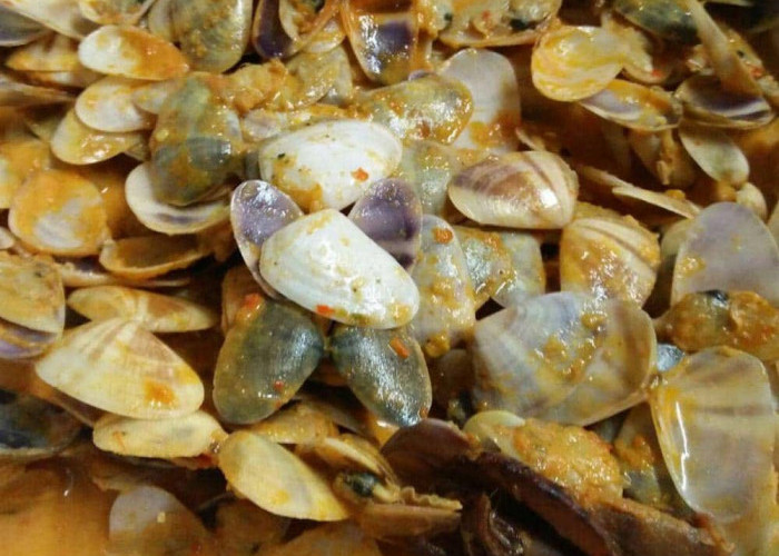 Dari Laut ke Meja Makan, Gulai Remis Jadi Andalan Kuliner Warga Pesisir Seluma