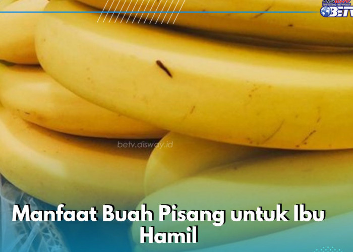 Ibu Hamil Perlu Konsumsi Buah Pisang, Ini Manfaat yang Sayang Dilewatkan, Dapat Meringankan Morning Sickness