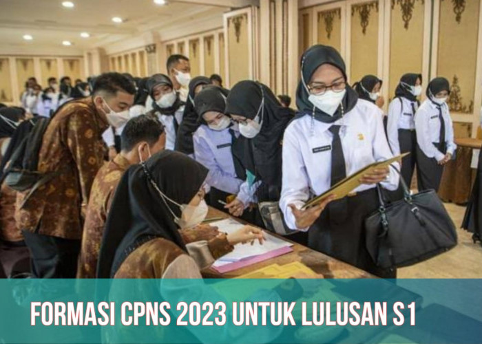 Formasi Terbuka untuk Lulusan S1, Cek Jadwal CPNS 2023, Lengkap dengan Link Pendaftaran