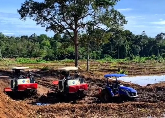 Ditarget Selesai Bulan Ini, Irigasi Rp2,5 Miliar di Rejang Lebong Siap Aliri 572 Hektare Sawah