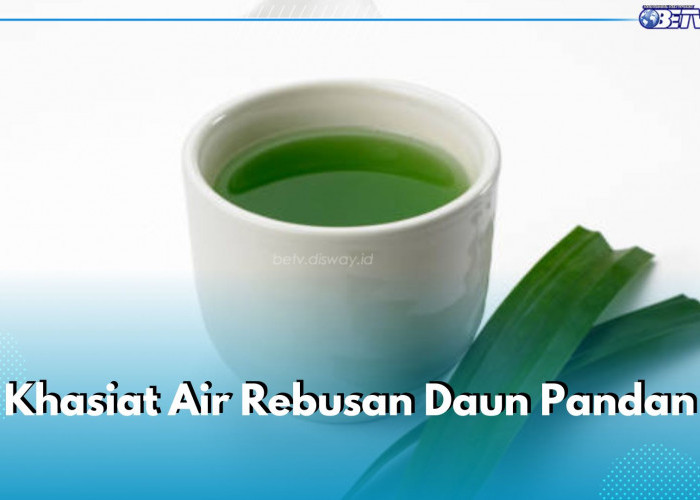 6 Khasiat Air Rebusan Daun Pandan sebagai Obat Tradisional, Atasi Insomnia hingga Detox Tubuh Dari Racun