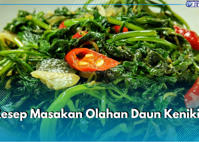 Lezat dan Berkhasiat, Ini 4 Resep Masakan Olahan Daun Kenikir yang Bisa Kamu Coba di Rumah, Yuk Masak!