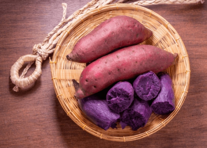 Tingkatkan Nafsu Makan dengan Konsumsi Ubi Ungu, Cek Manfaat Lainnya Disini!