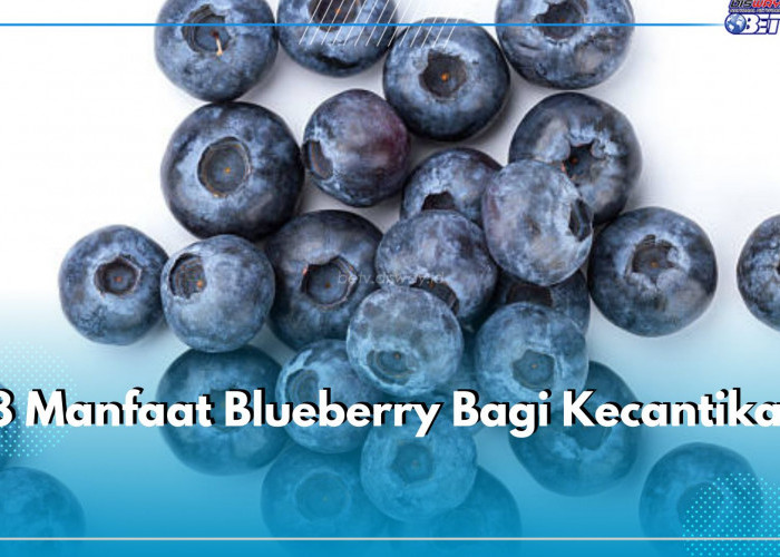8 Manfaat Blueberry Bagi Kecantaikan, Jangan Lewatkan Kandungan Nutrisinya untuk Kulit Wajah