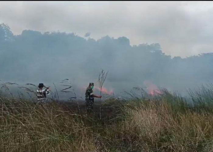 Kebakaran 200 Hektar Lahan Gambut di Enggano Bengkulu, Upaya Padamkan Api Masih Berlangsung 