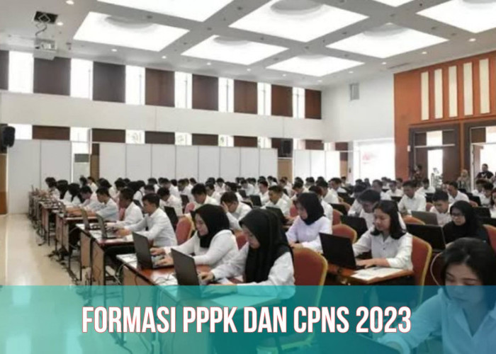 INFO TERBARU! Formasi PPPK dan CPNS 2023 Telah Ditetapkan, Bukan 1 Juta Lebih, Cek Rinciannya!