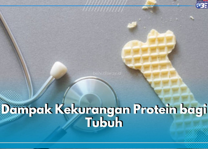 Jangan Remehkan! Ini 5 Dampak Kekurangan Protein Bagi Tubuh, Bisa Sebabkan Penurunan Massa Otot