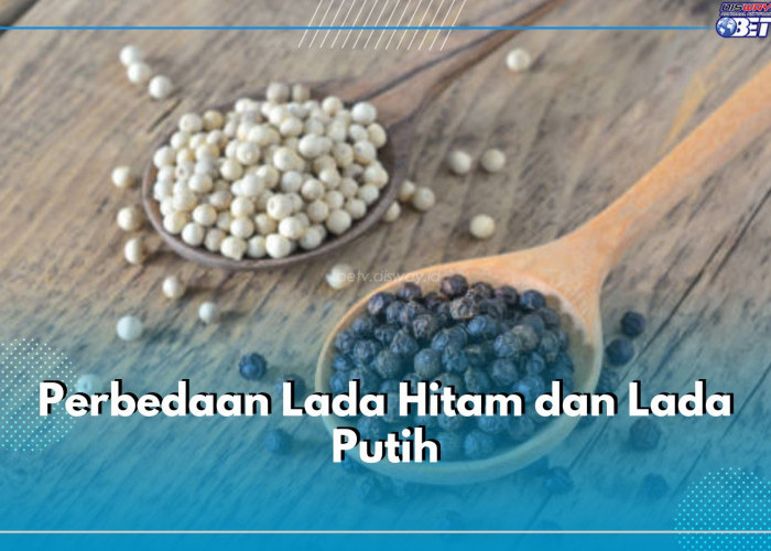 Kenali 3 Perbedaan Lada Hitam dan Lada Putih yang Penasaran, Apa Saja?