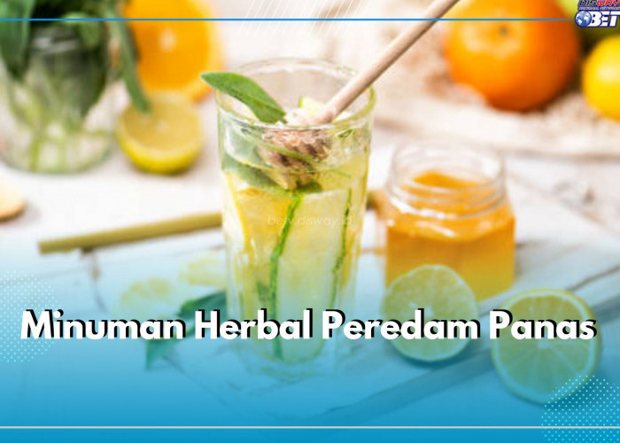 7 Minuman Herbal Peredam Panas Dalam Secara Alami, Teh Jahe hingga Sari Buah Apel