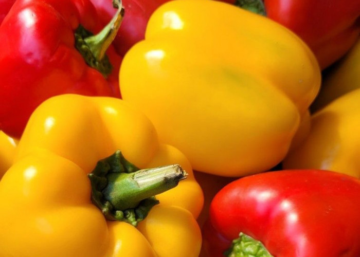 Cek di Sini! Manfaat Paprika untuk Kesehatan, Kaya Vitamin C hingga Baik untuk Mata