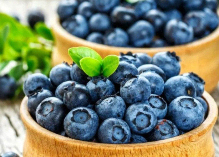 Baik untuk Jantung, Ini Manfaat Buah Blueberry bagi Kesehatan, Kamu Perlu Tahu